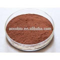 Extracto de azufaifa de Ziziphus de la alta calidad de la categoría alimenticia, saponinas de la azufaifa, jujuboside